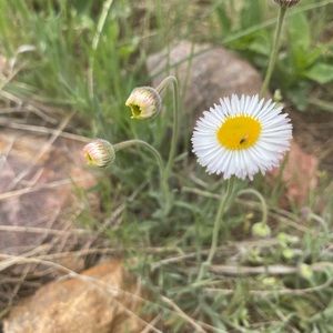 Meet your Posher, Kinzie